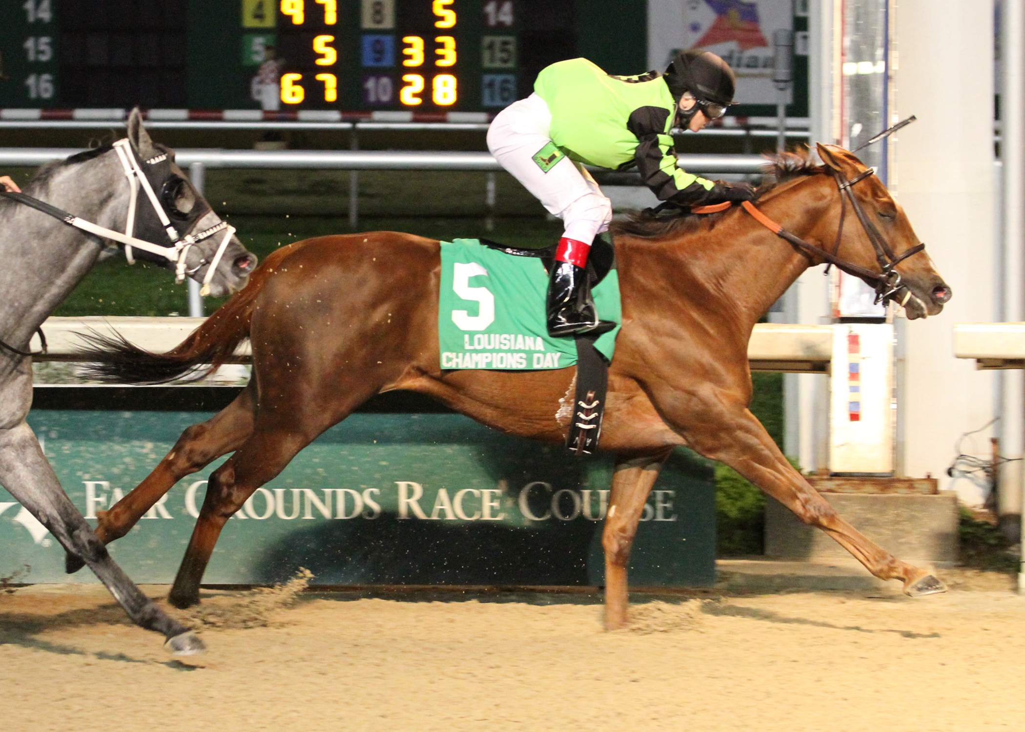 Heavy On Themister, Louisiana Champions Day Classic
