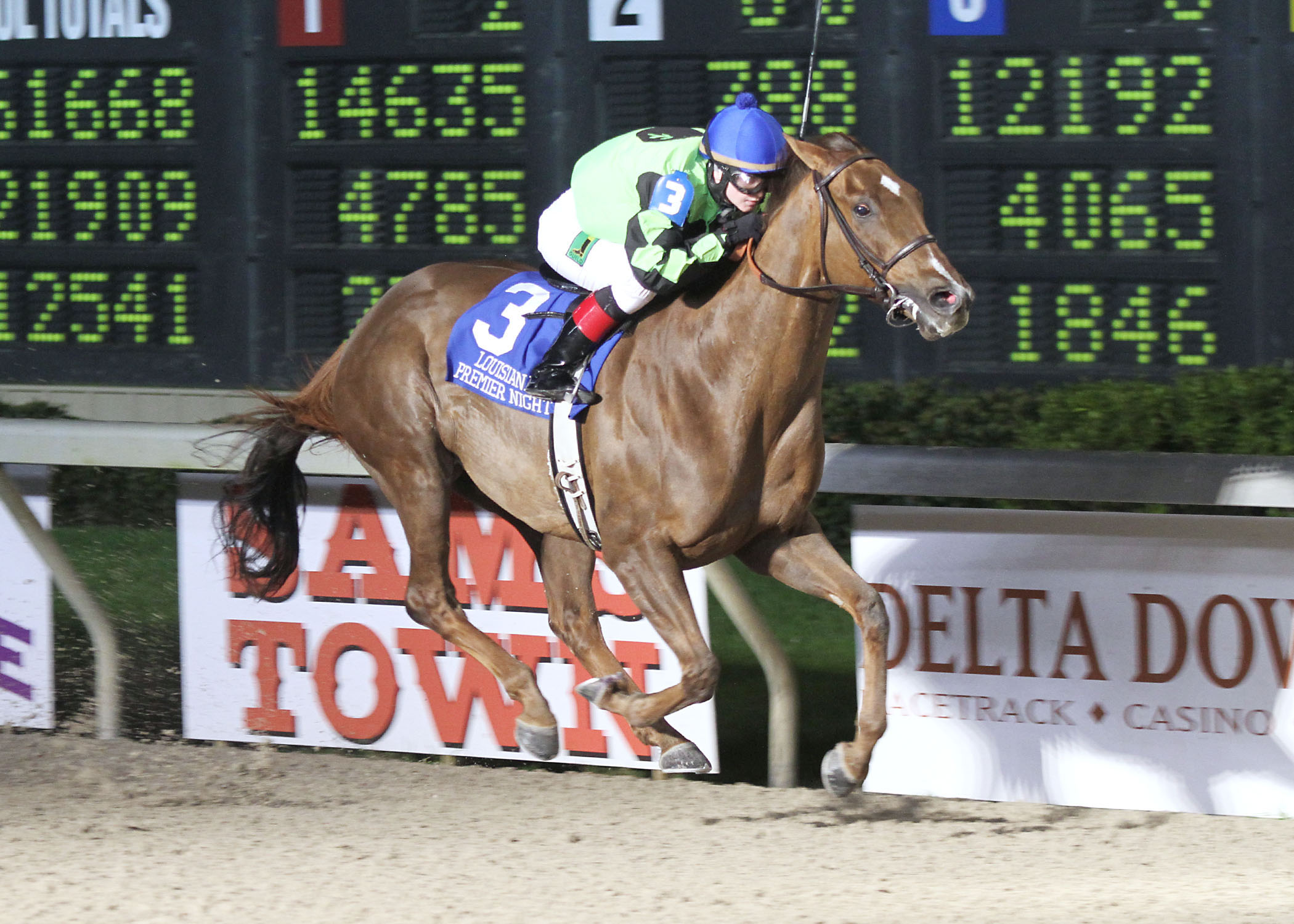 Heavy on Themister, Night Championship