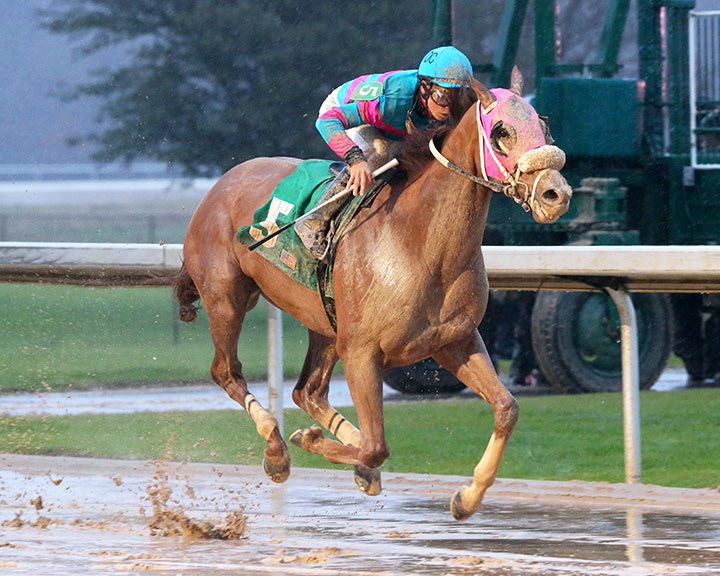 Heavy Roller wins a Feb. 10 allowance