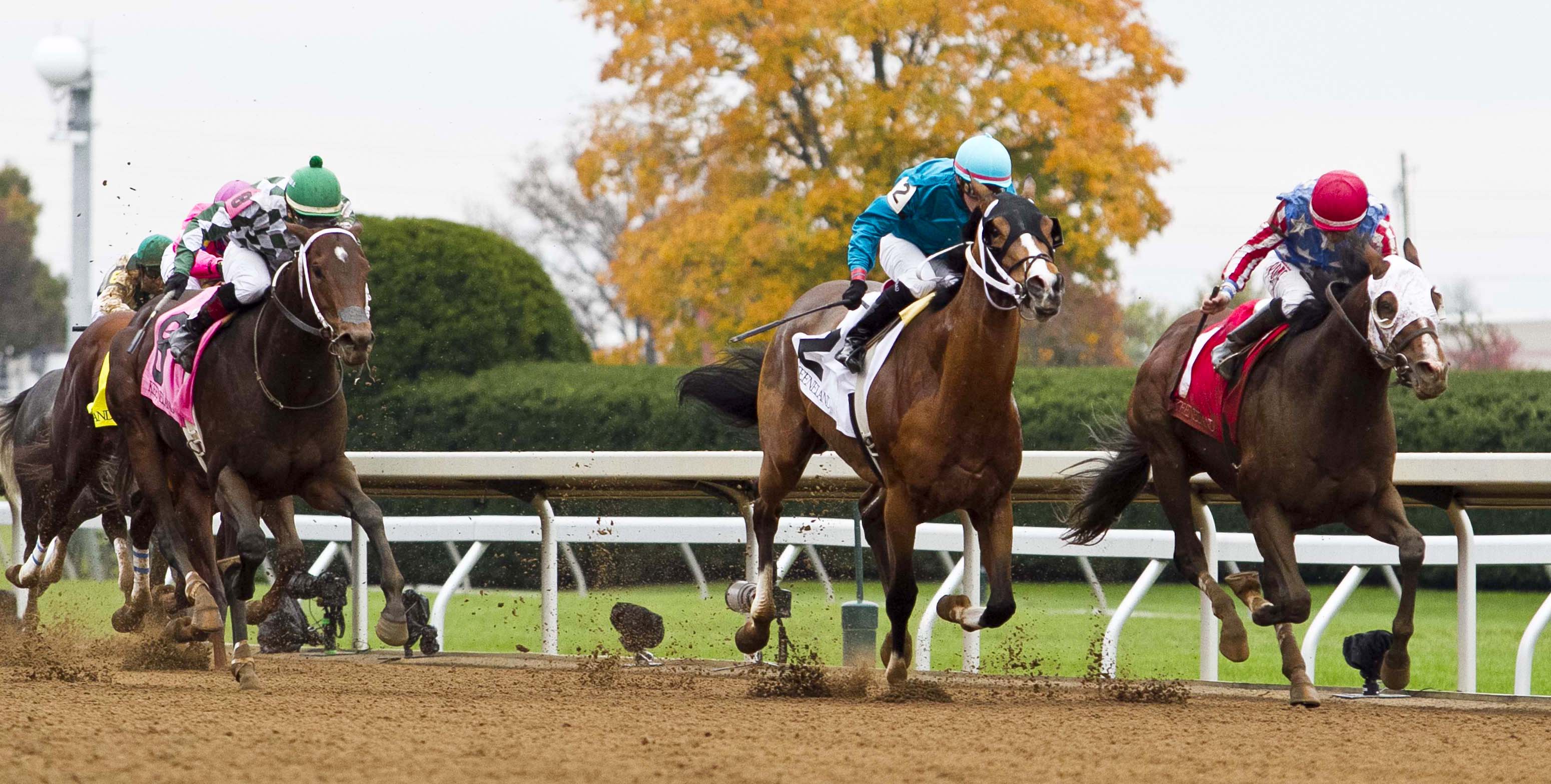 Hebbronville wins the Perryville Stakes