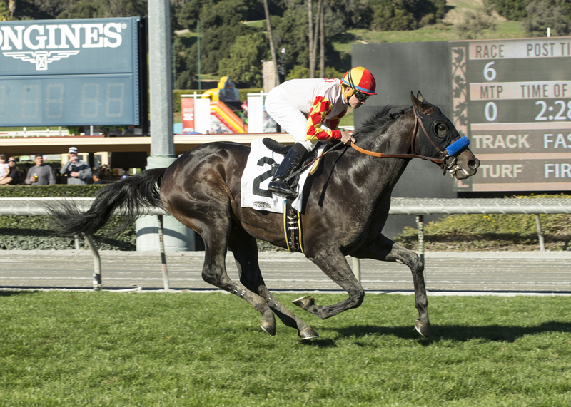 Heck Yeah wins the 2018 Cal Cup Turf Sprint