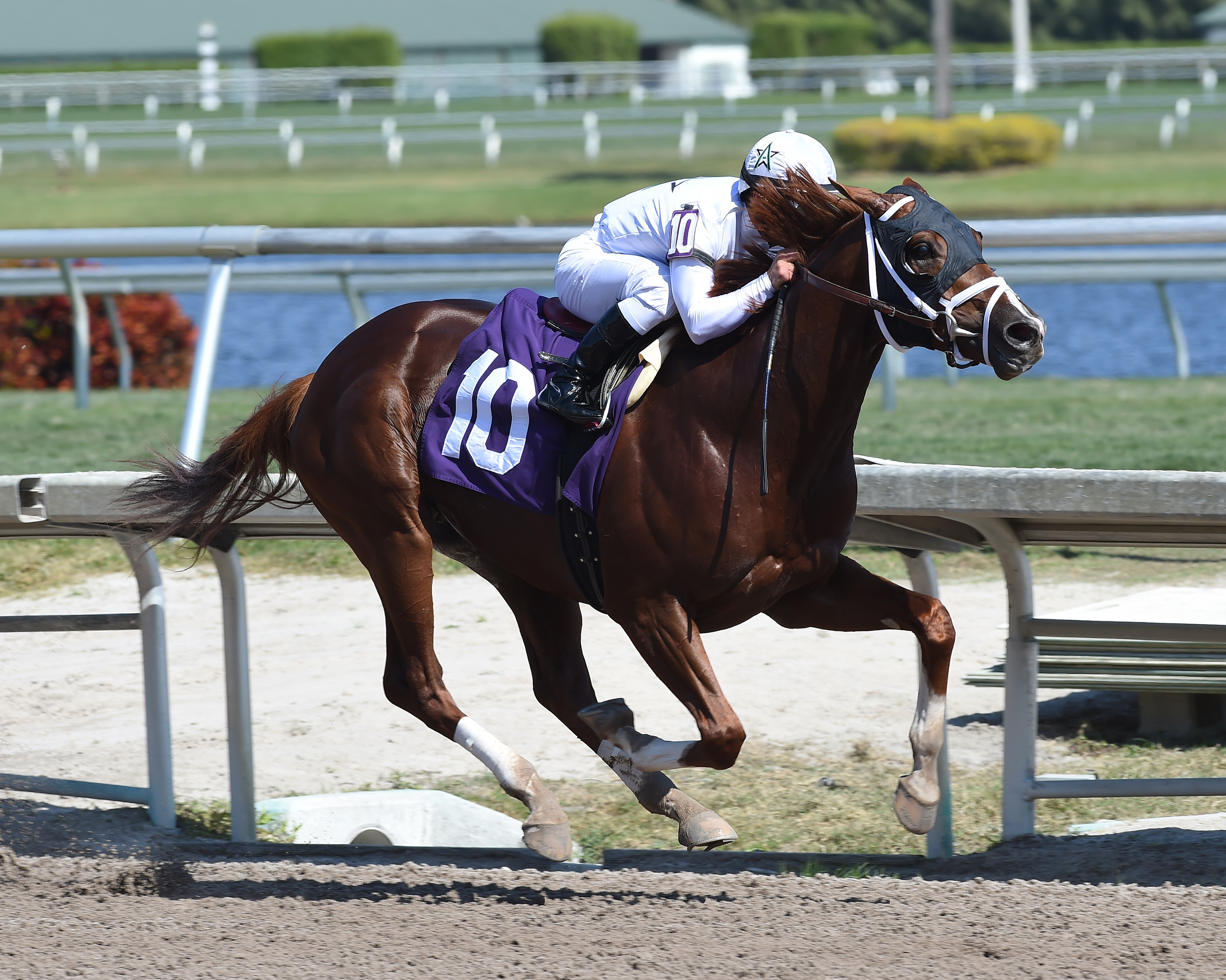Hedge Fund wins a maiden race at Gulfstream