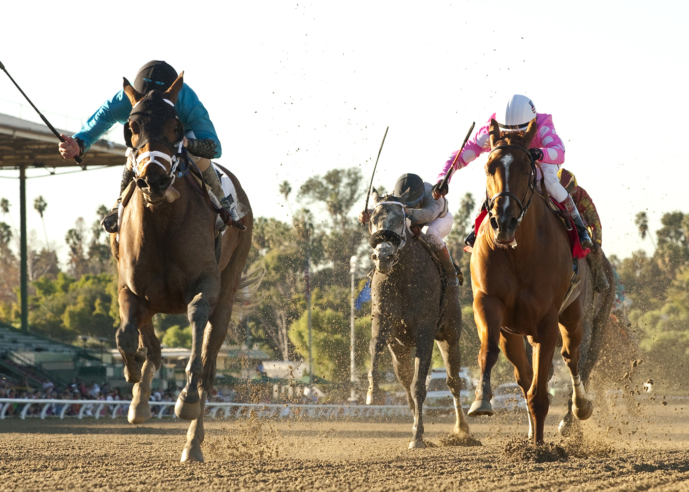 Gary Stevens/Heir Kitty 12-26-2013