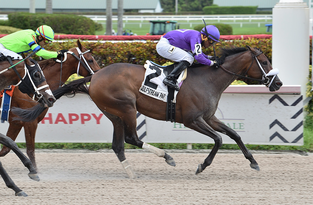 Heiressall wins the 2020 Sheer Drama Stakes at Gulfstream Park