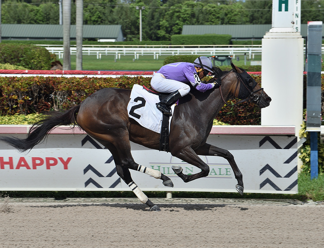 Heiressindy wins a July 12 allowance at Gulfstream Park