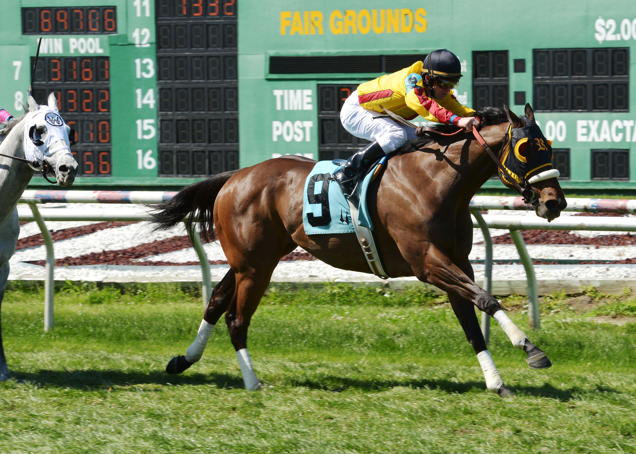 Heitai wins the Costa Rising Stakes