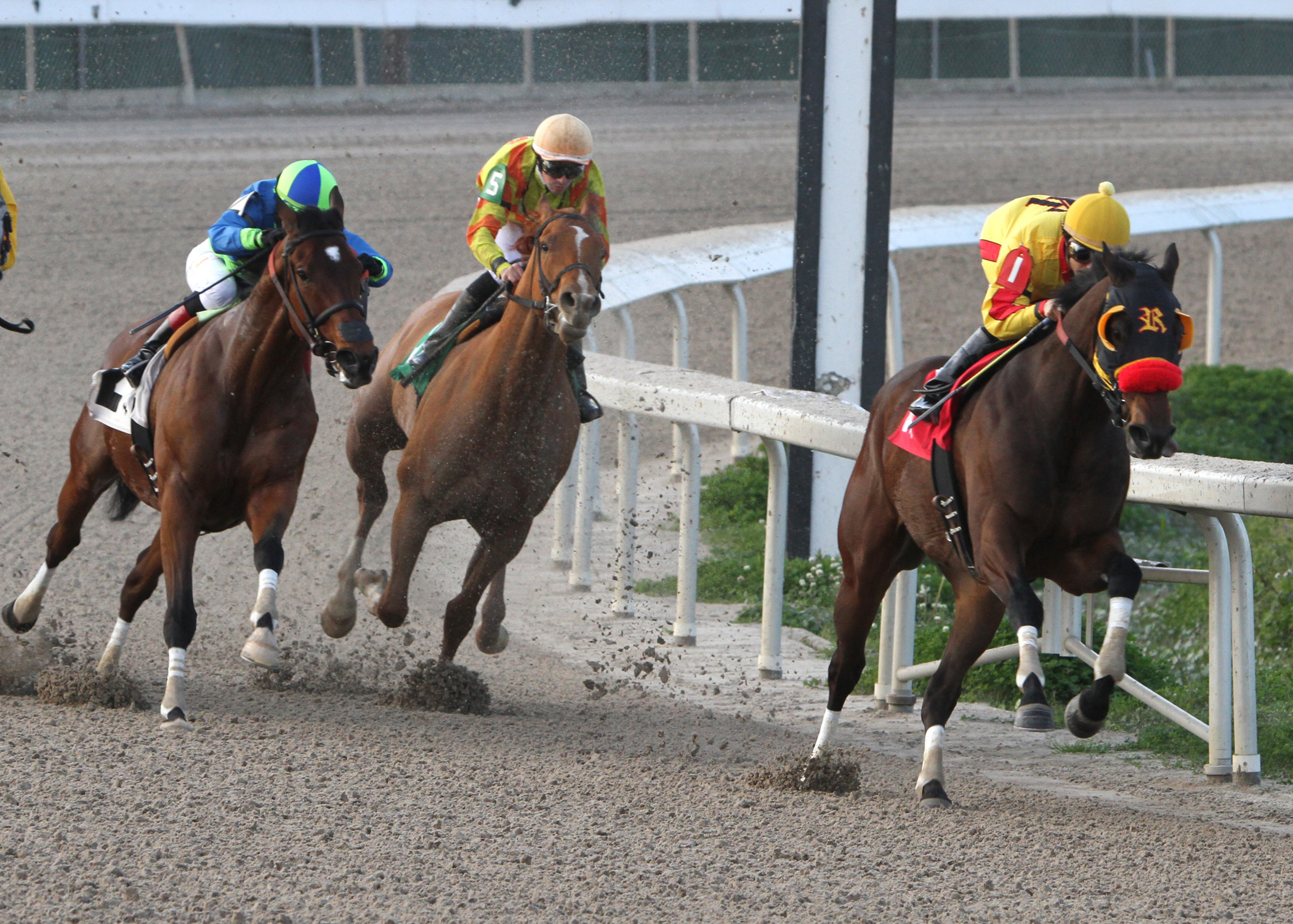 Heitai wins the Duncan F. Kenner