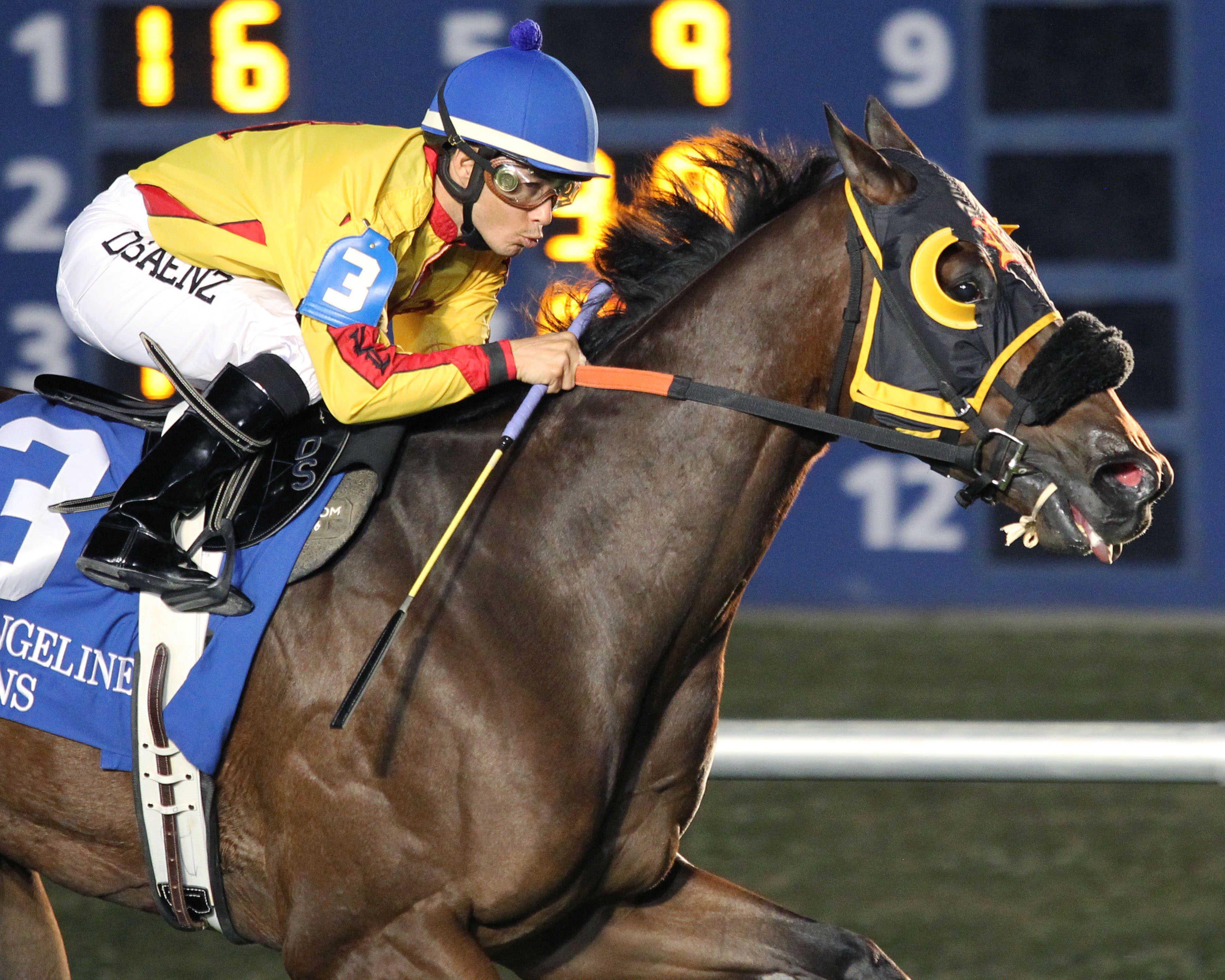 Heitai wins the Need for Speed Stakes
