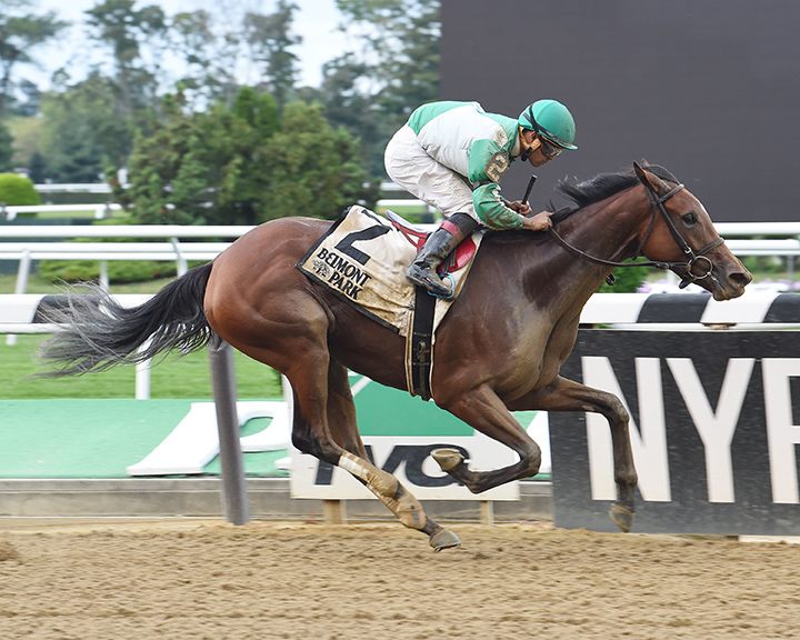 Held Accountable wins the 2017 Joseph A. Gimma Stakes at Belmont Park