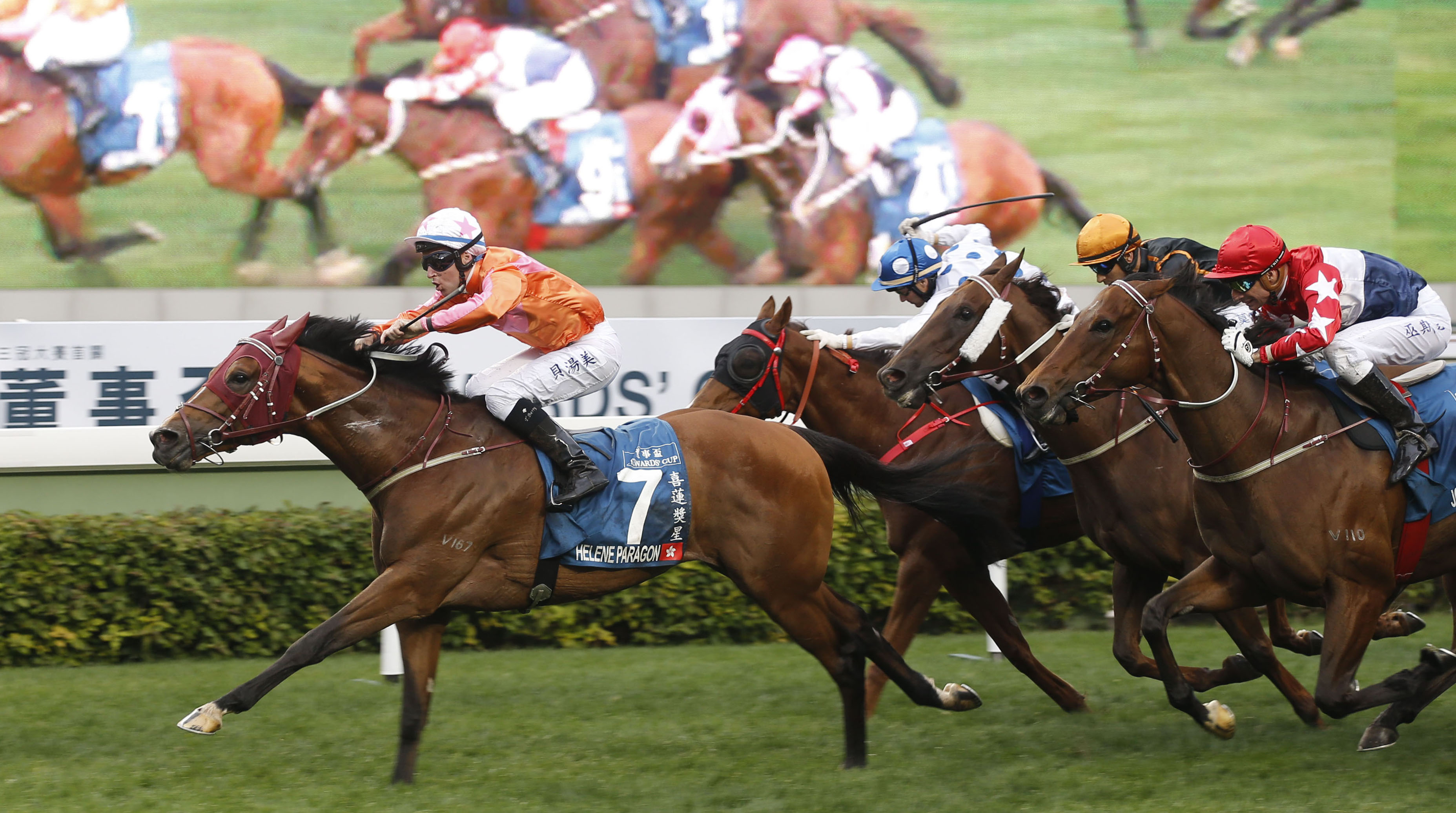 Helene Paragon wins the Stewards Cup