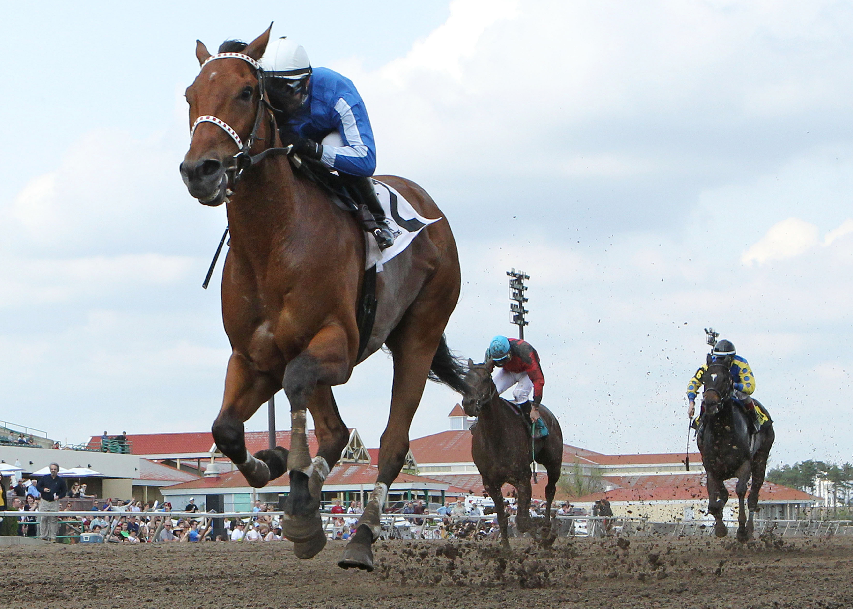 Heliskier wins the 10,000 Lakes Stakes