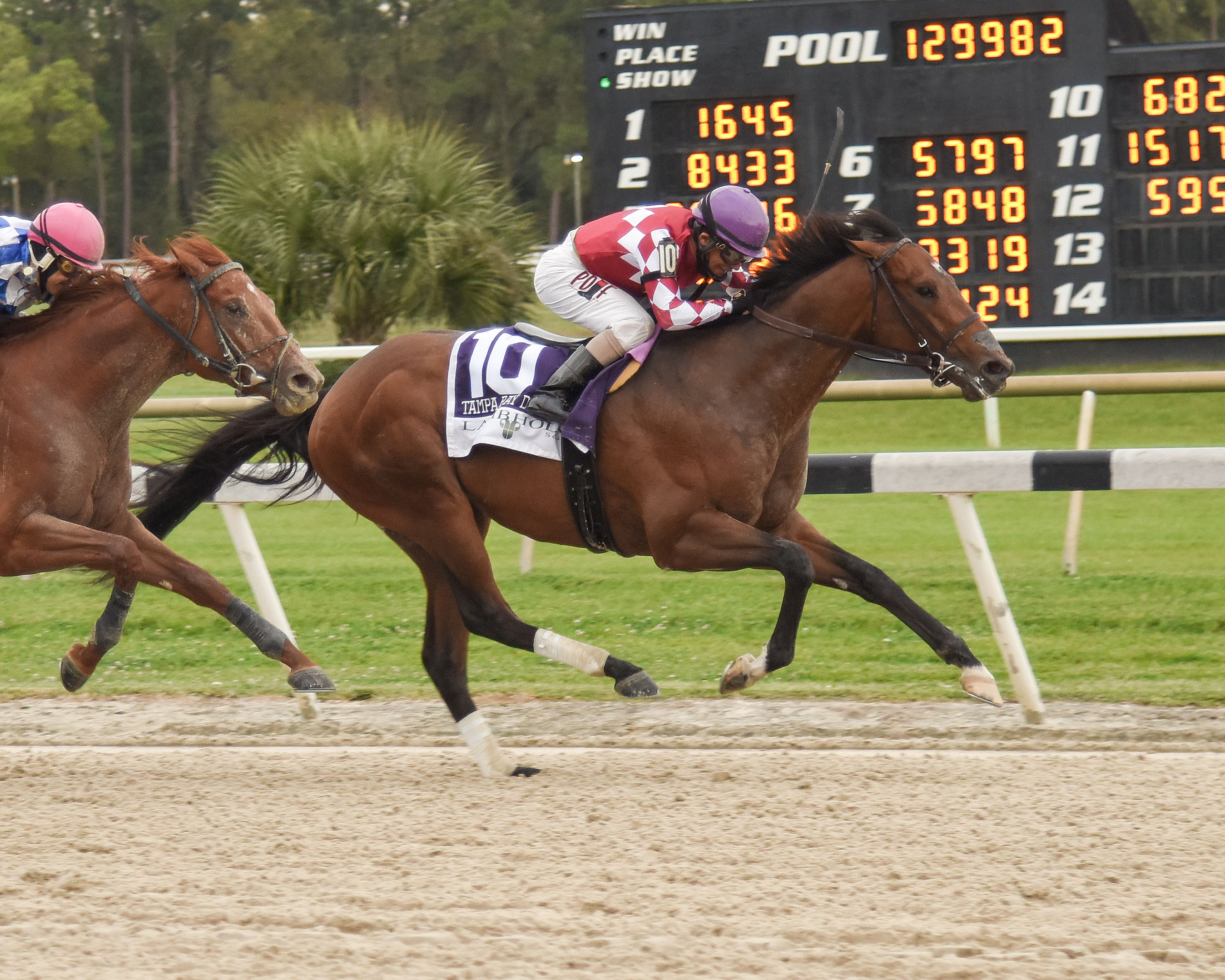 Helium turns back Hidden Stash in the Tampa Bay Derby.3.6.2021