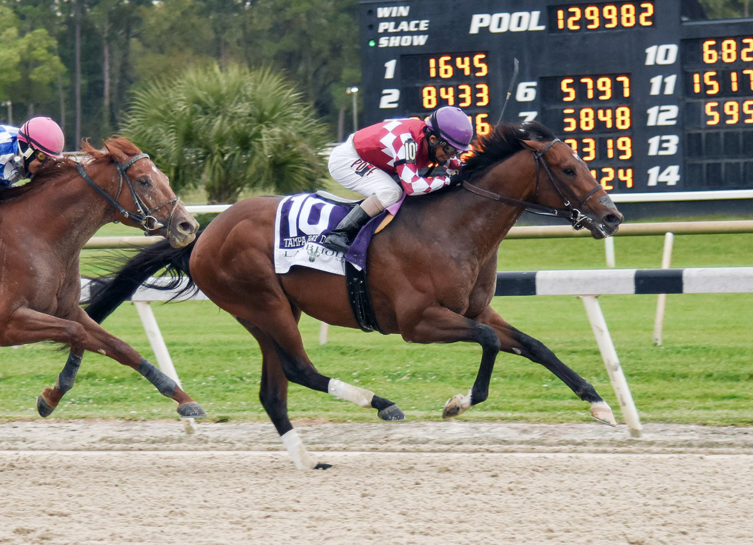 Helium wins the 2021 Tampa Bay Derby at Tampa Bay Downs
