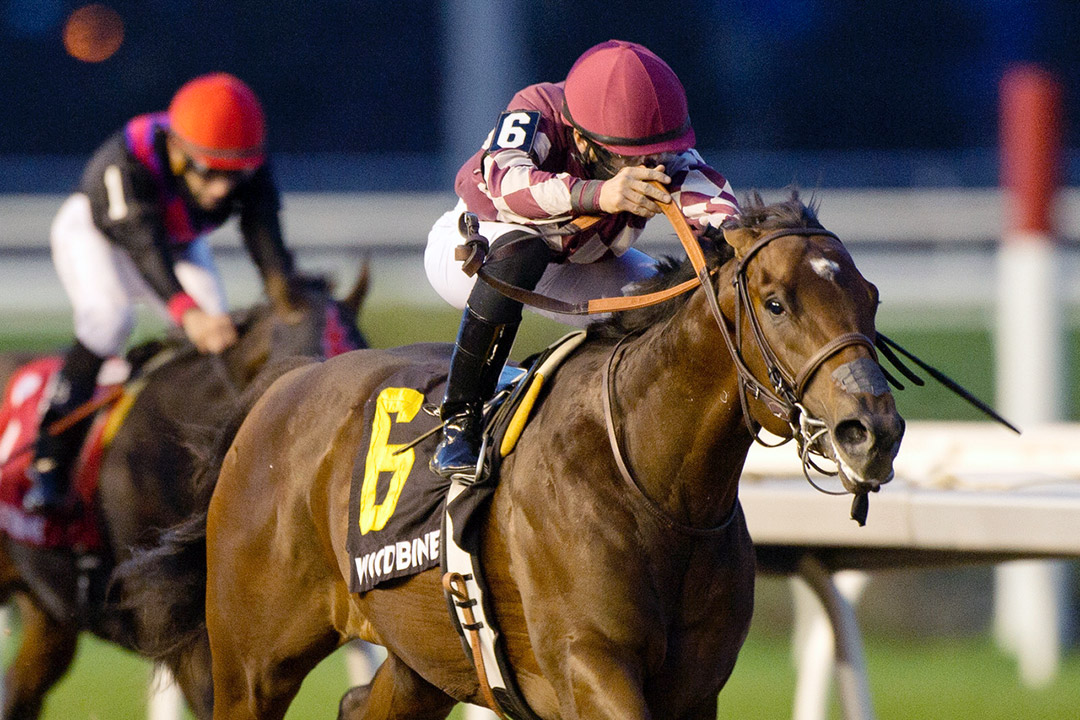 Helium wins the 2020 Display Stakes at Woodbine