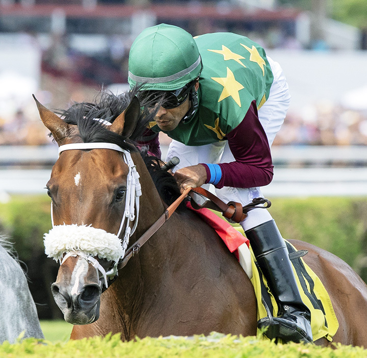Hello Don Julio finishes second in a July 21 allowance race