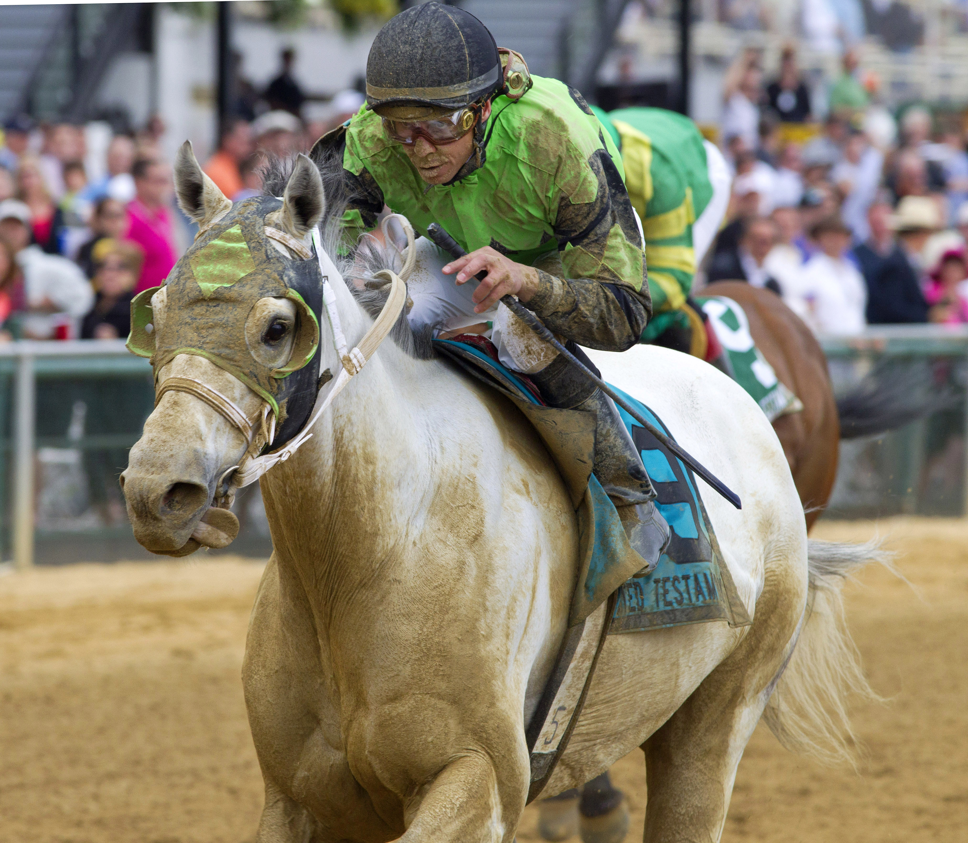 Dick Jerardi: Pimlico proves that Preakness has something for everybody