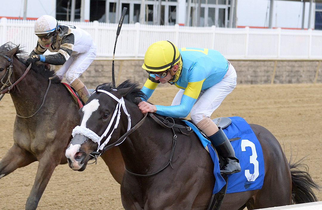 Hello Beautiful wins the 2021 What A Summer Stakes at Laurel Park