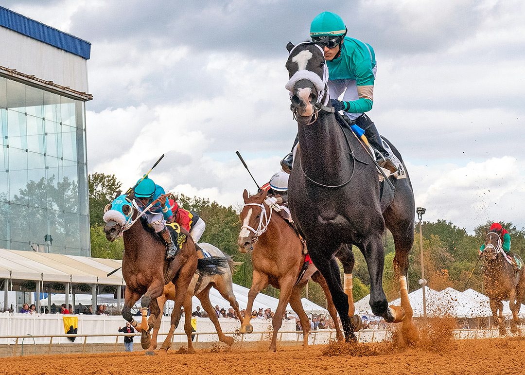 Hello Beautiful wins the 2021 Maryland Million Distaff Stakes at Laurel Park