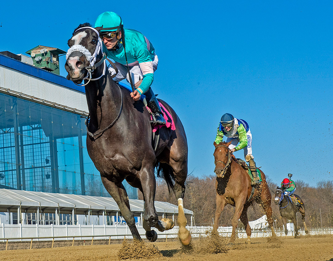 Hello Beautiful wins the 2020 Safely Kept Stakes at Laurel Park