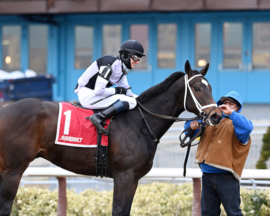 Hello Hot Rod at the Jimmy Winkfield Stakes at Aqueduct Racetrack