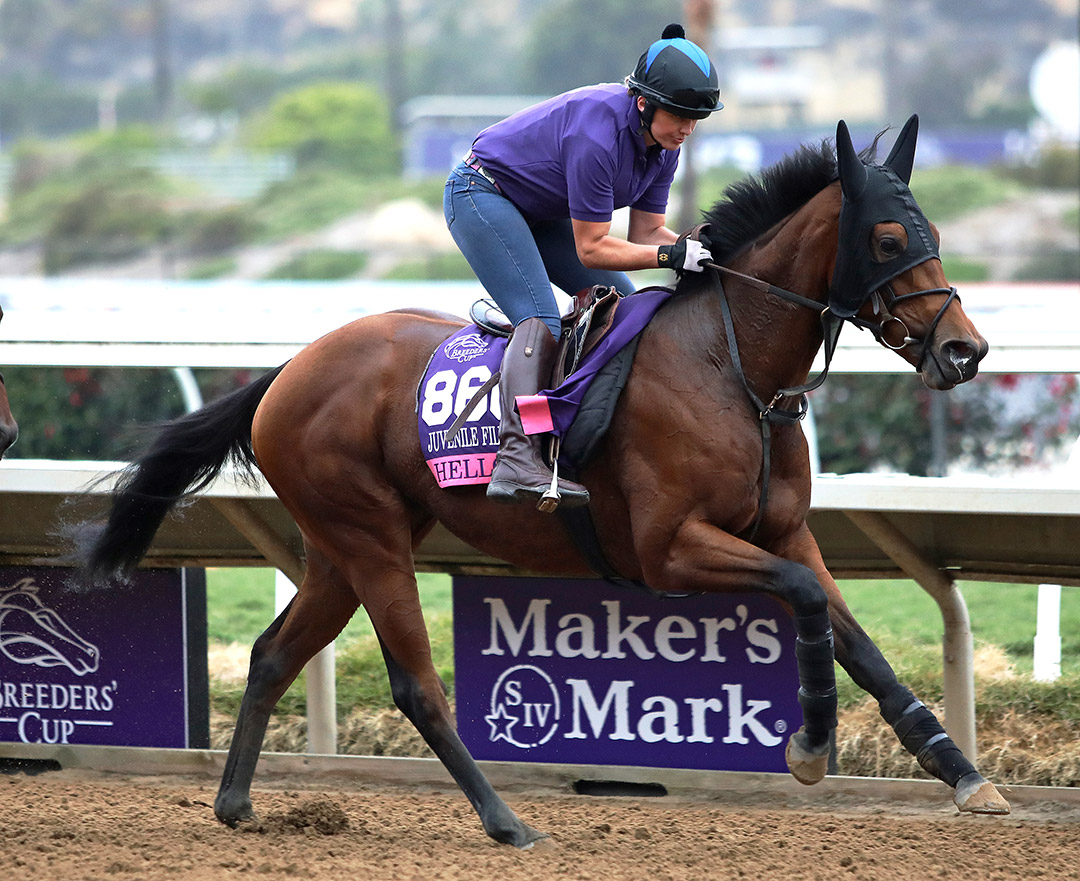 Hello You trains at Del Mar on Nov. 2