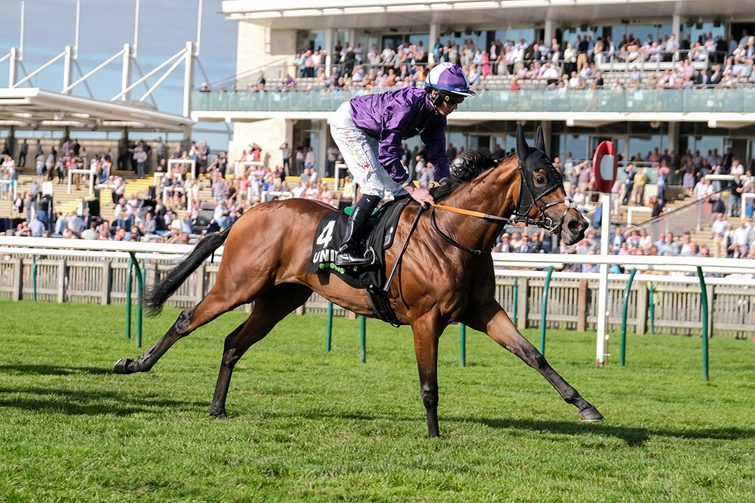 Hello You wins the 2021 Rockfel Stakes at Newmarket