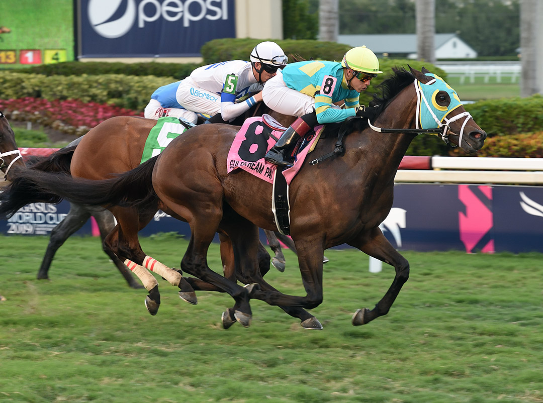 Hembree wins the 2019 El Prado Stakes at Gulfstream Park