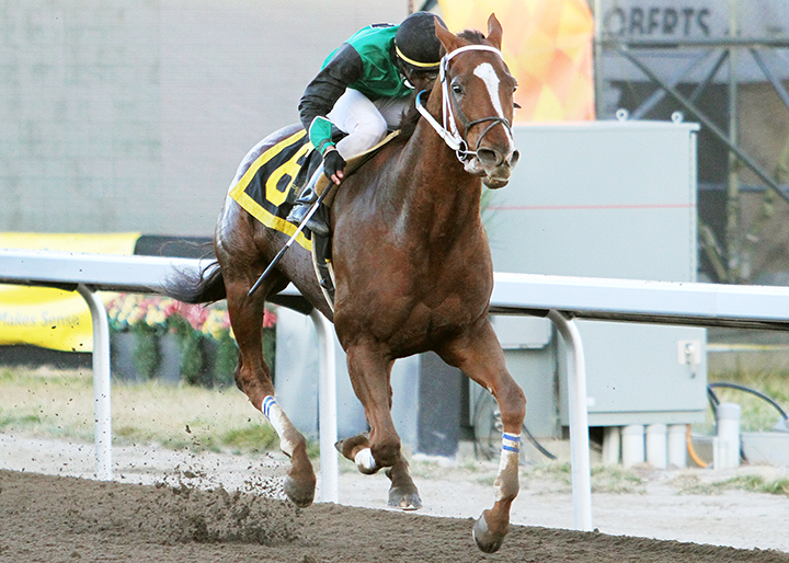 Hemlock Channel wins the 2017 Harvest Plate