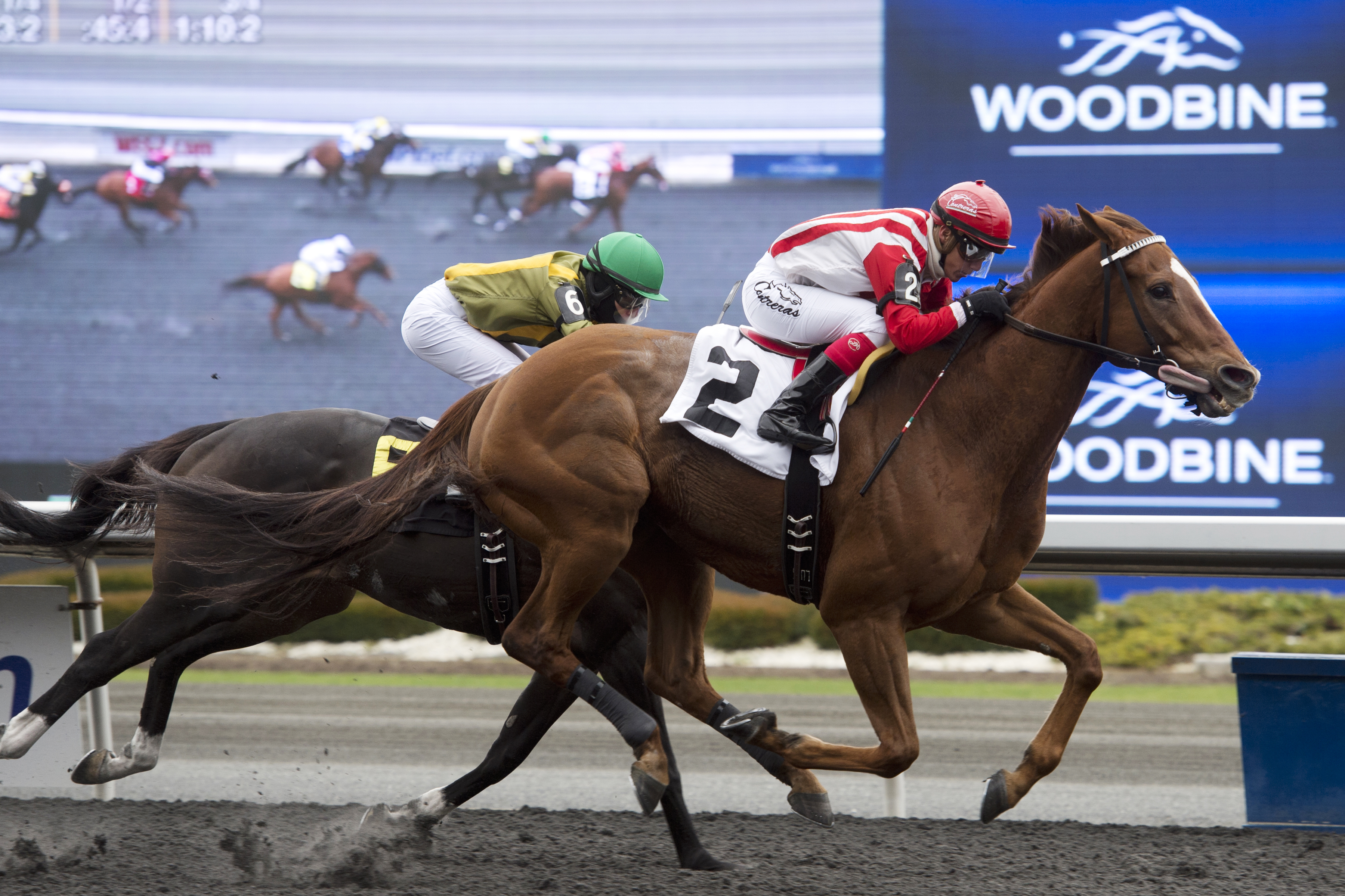 Hemlock Channel wins a claiming race in Nov. 2015