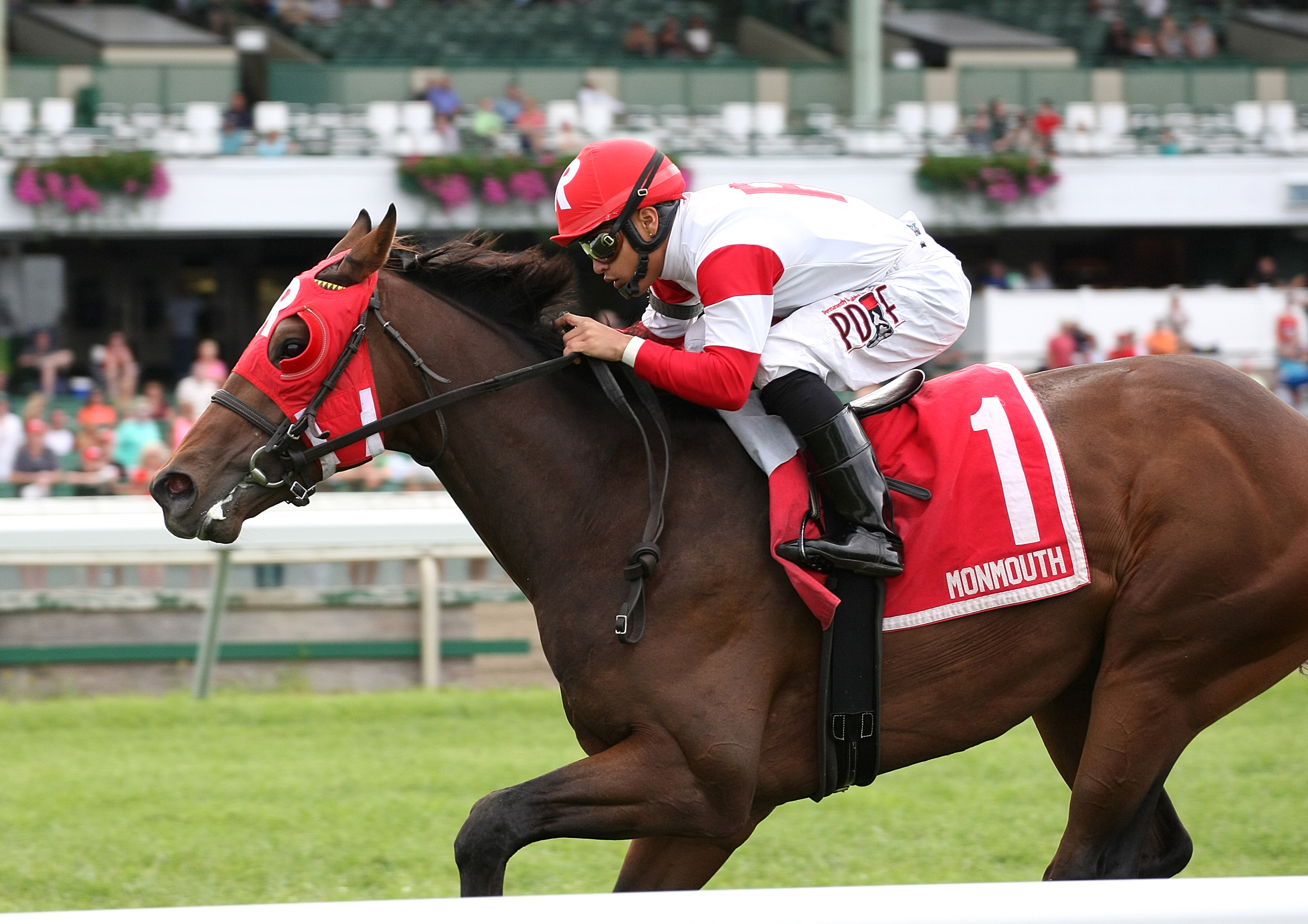 Hemp Hemp Hurray wins the Tyro Stakes at Monmouth Park 8.6.17_BD