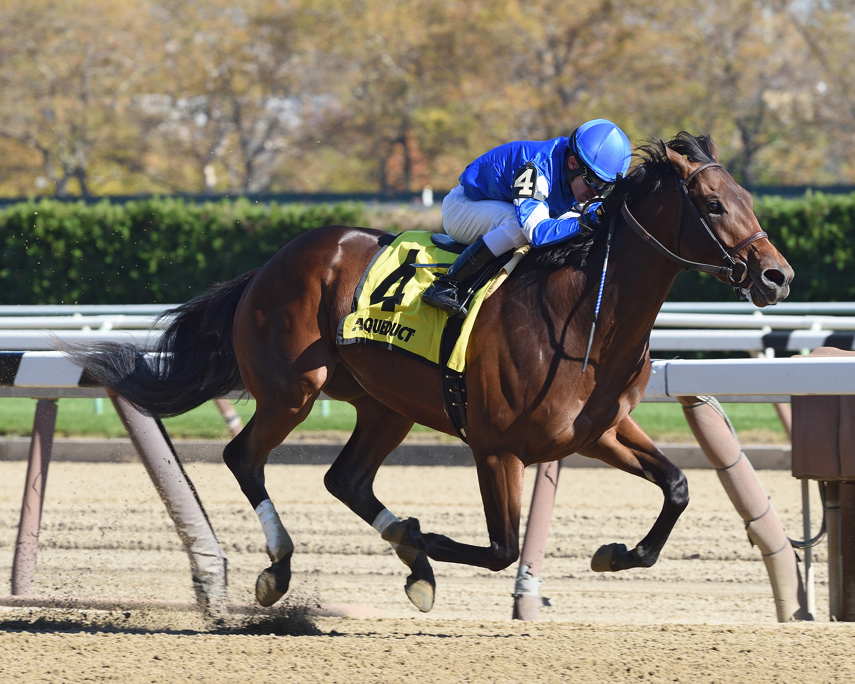 Hemsworth wins the Nashua Stakes