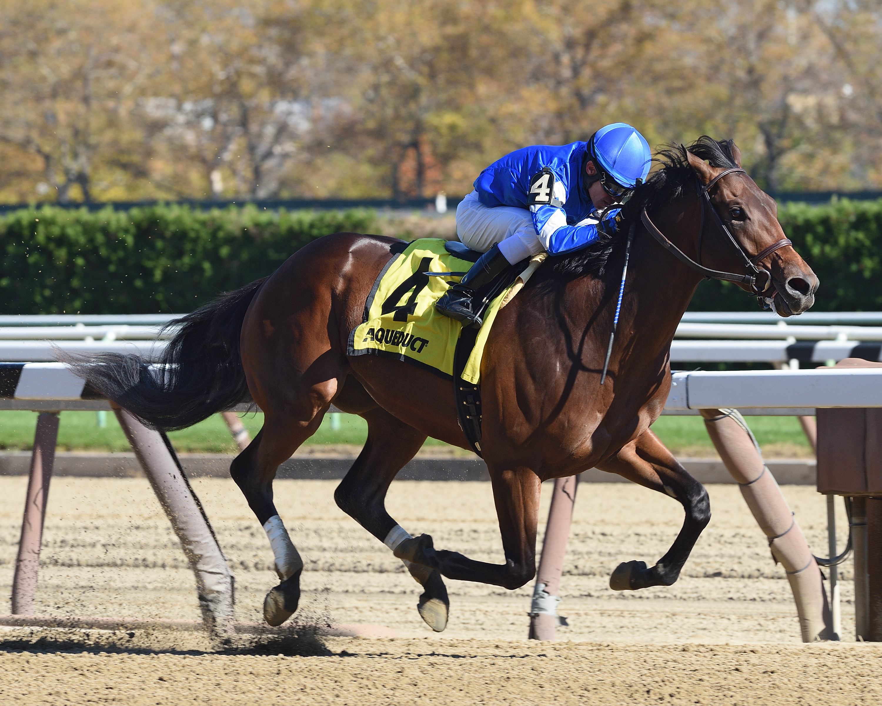 Hemsworth wins the Nashua Stakes