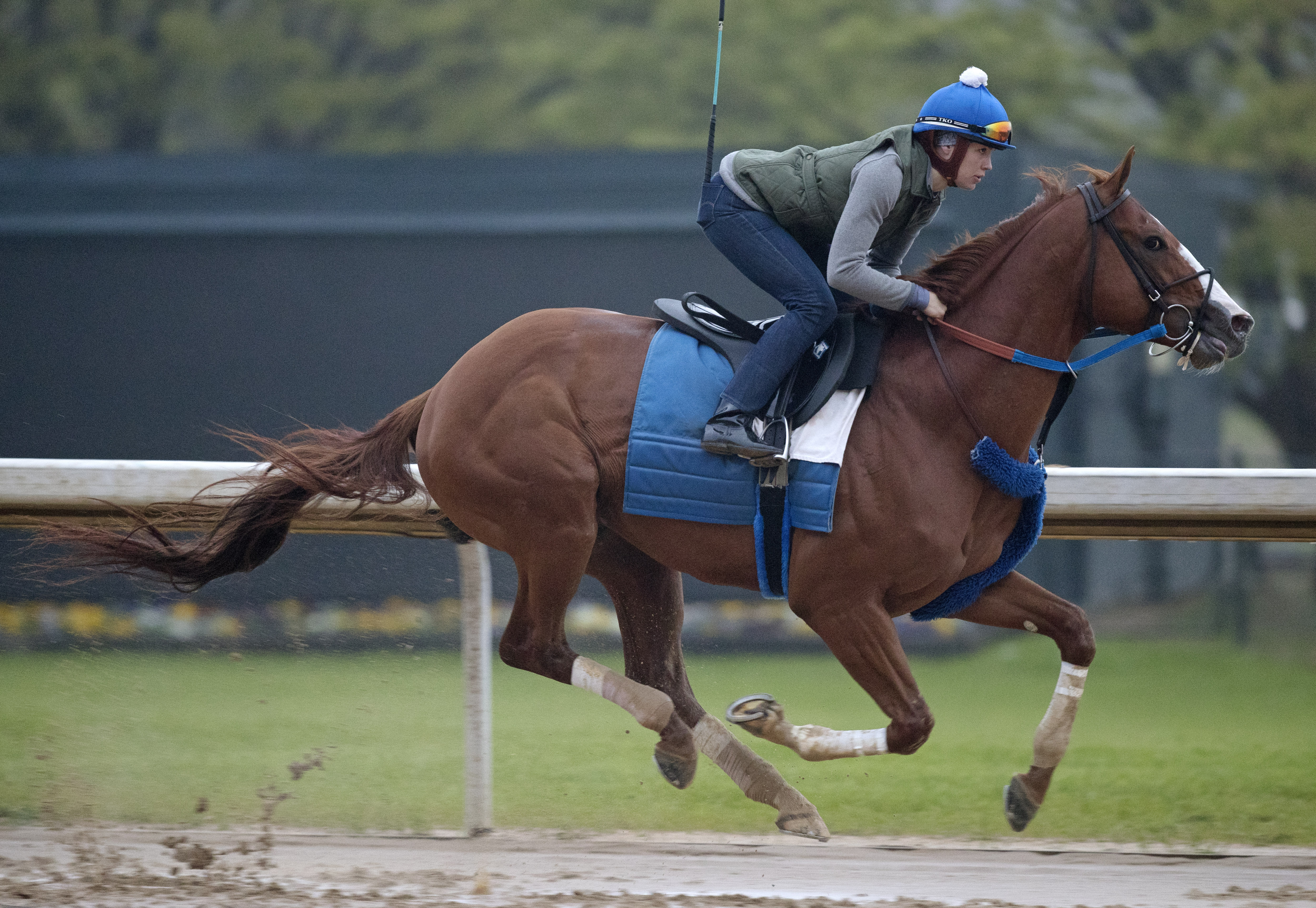 Hence trains at Oaklawn on March 19