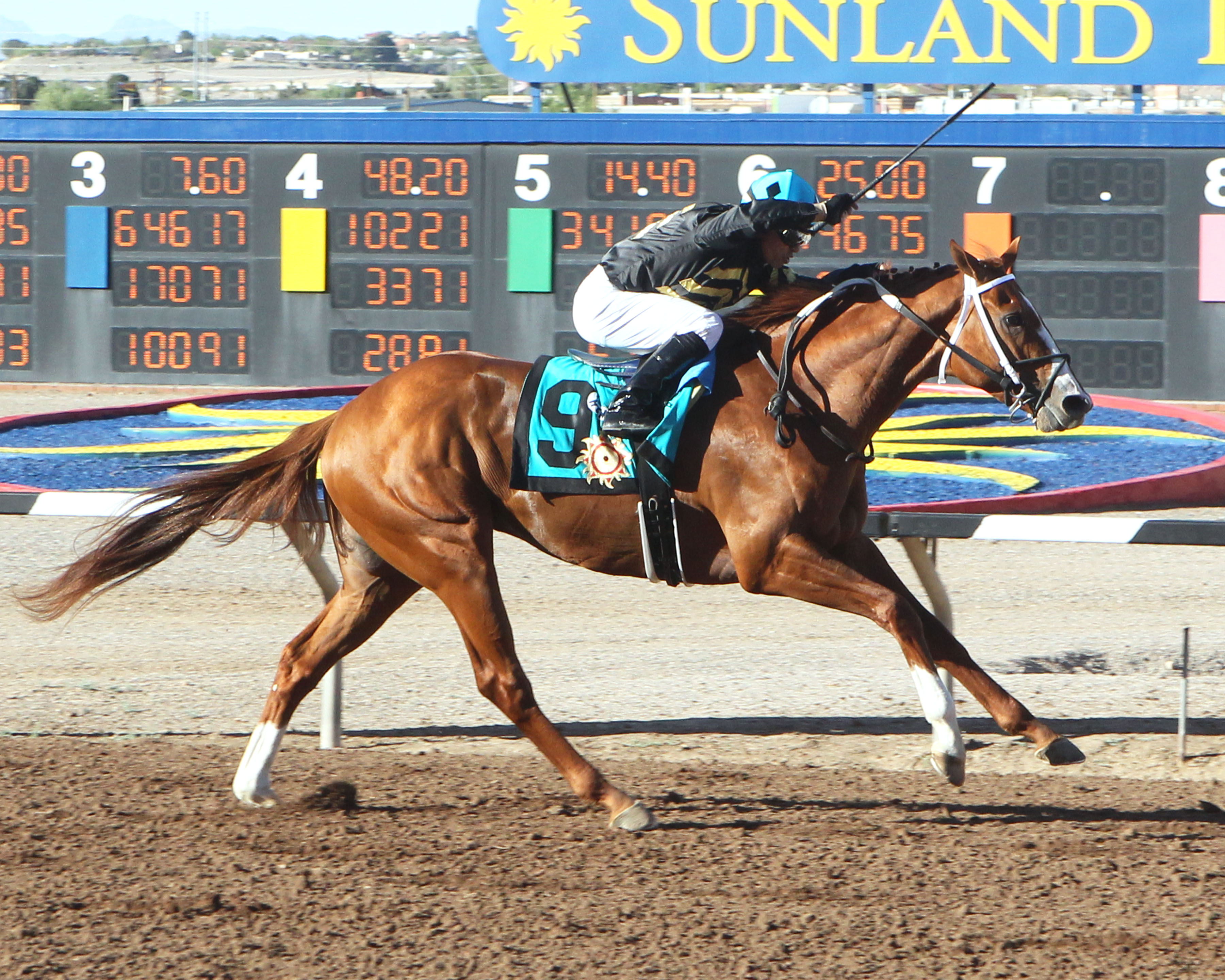 Derby Watch: Asmussen shifts focus back to 3-year-olds