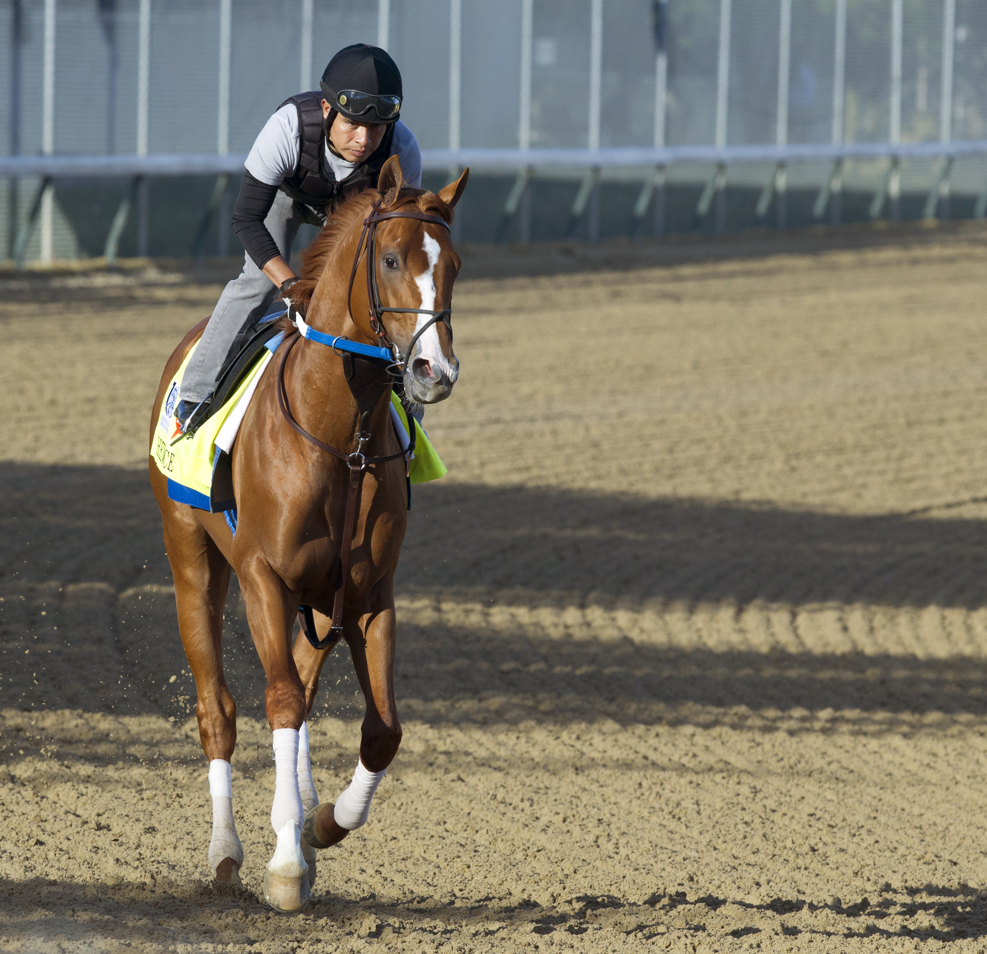 Hence at Churchill Downs on April 26