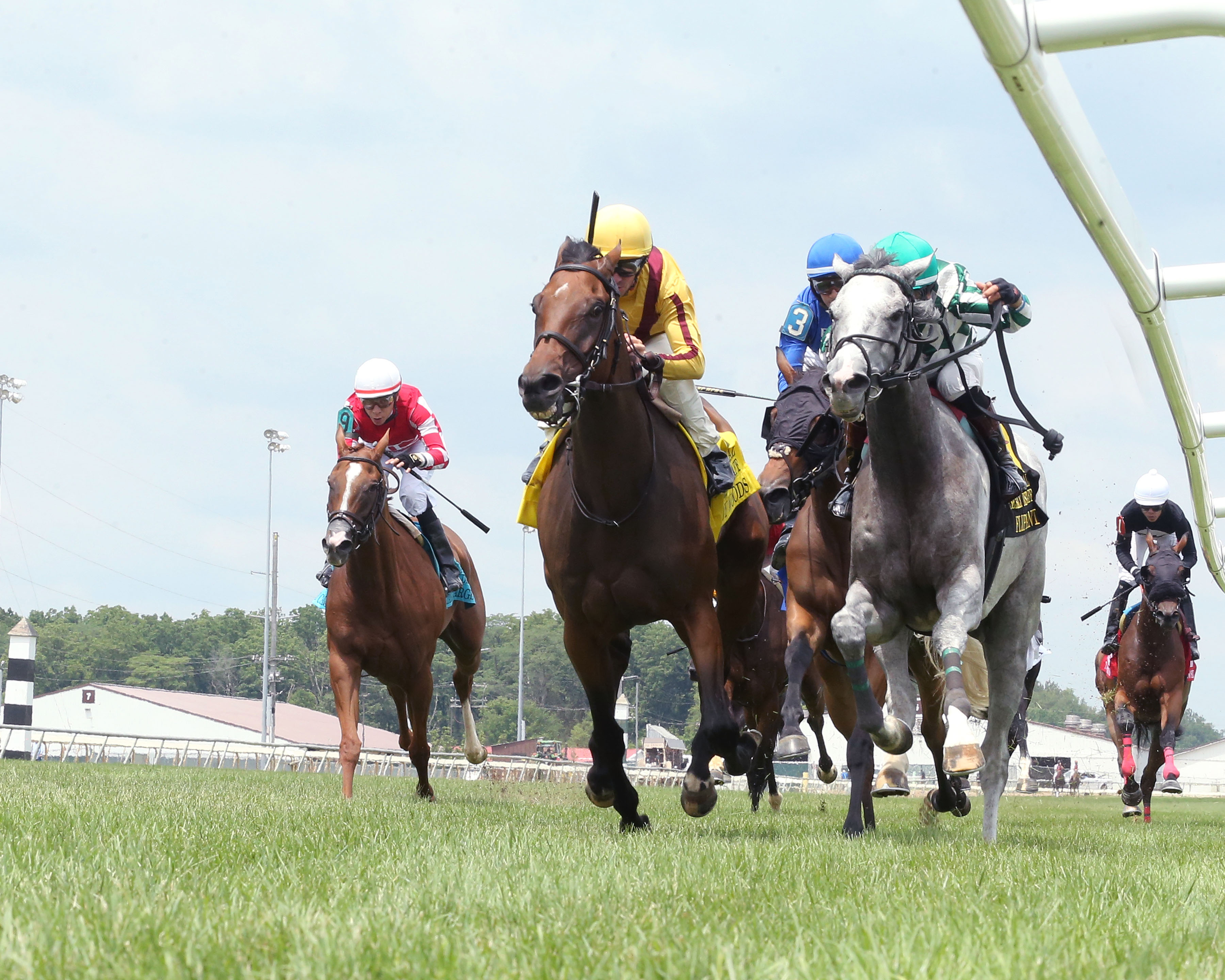 Hendy Woods (left) and Flippant dead heat in Indiana General Assembly Stakes on July 9 2022