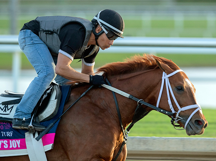 Henley's Joy trains at Gulfstream Park on Jan. 19