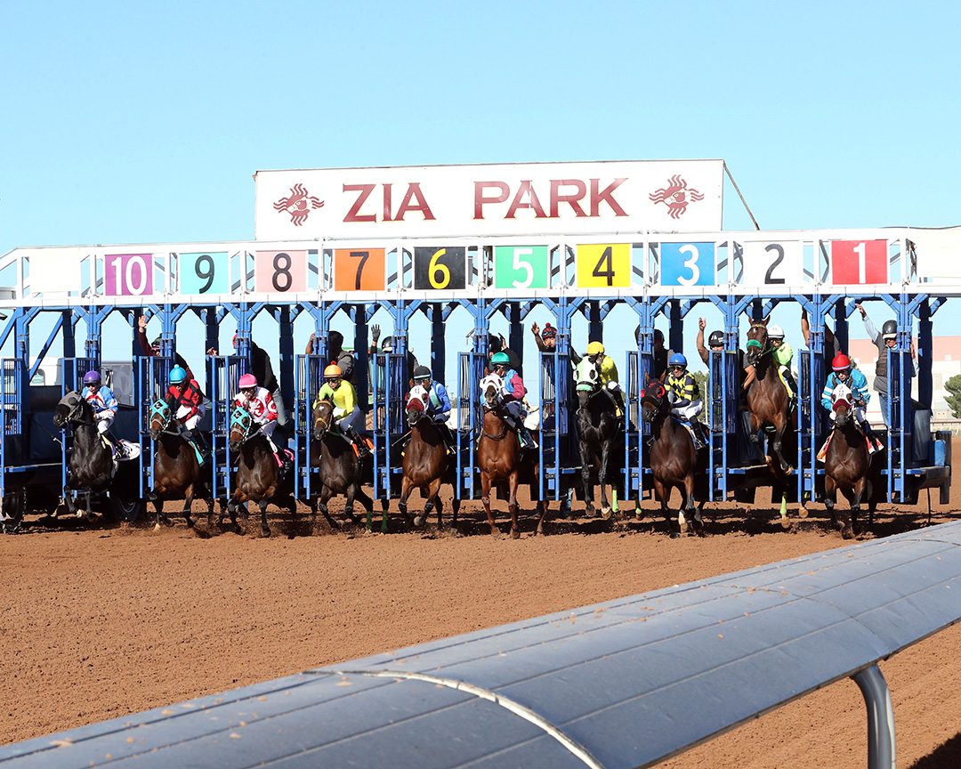 Zia Park race start