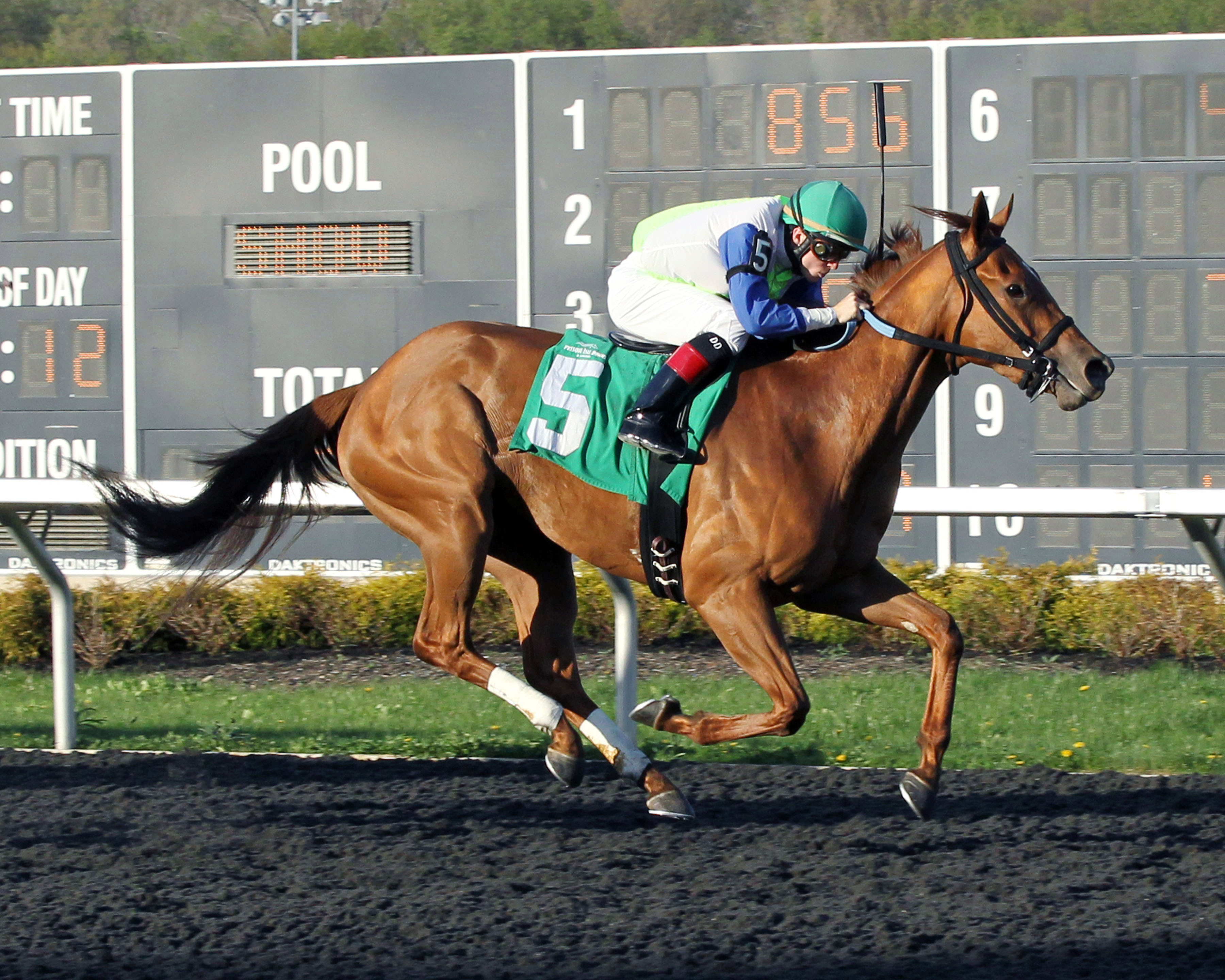 Henny Jenney wins the Inaugural Stakes