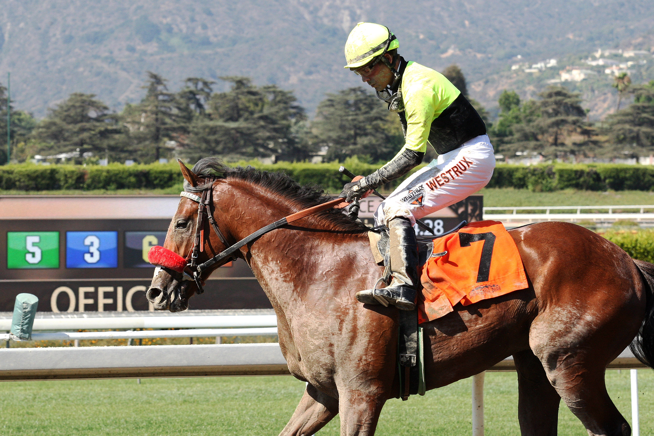 Henry's Holiday finishes fourth in the 2014 Santa Anita Juvenile Stakes