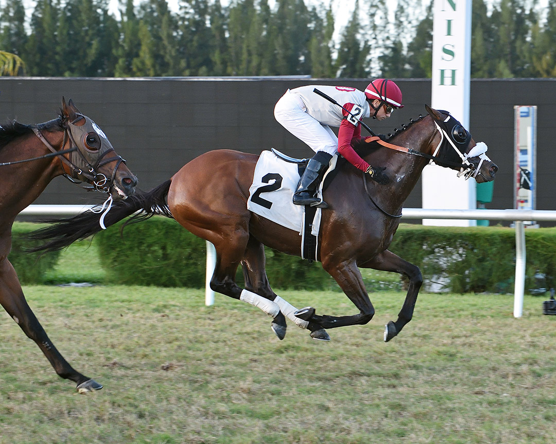 Henry's World wins a November 2020 allowance at Gulfstream Park