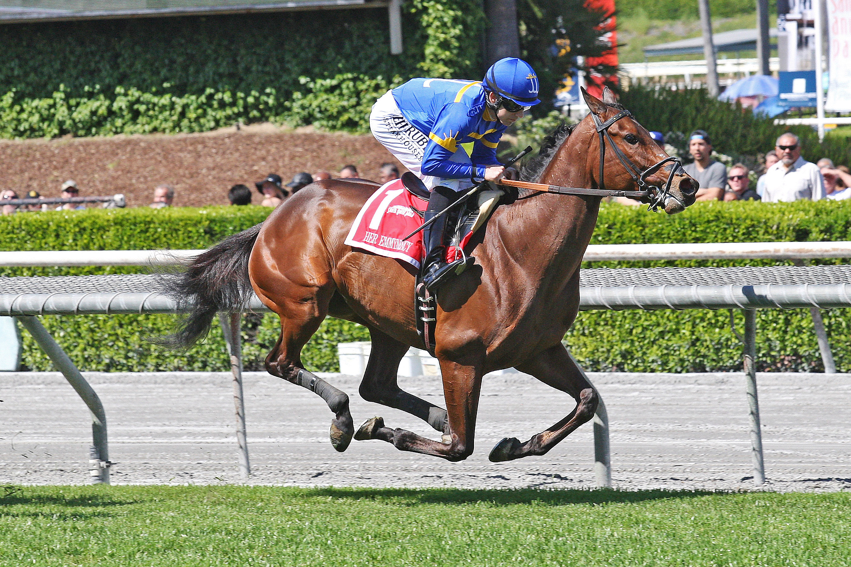 Her Emmynency finishes fifth in the Santa Ana Stakes