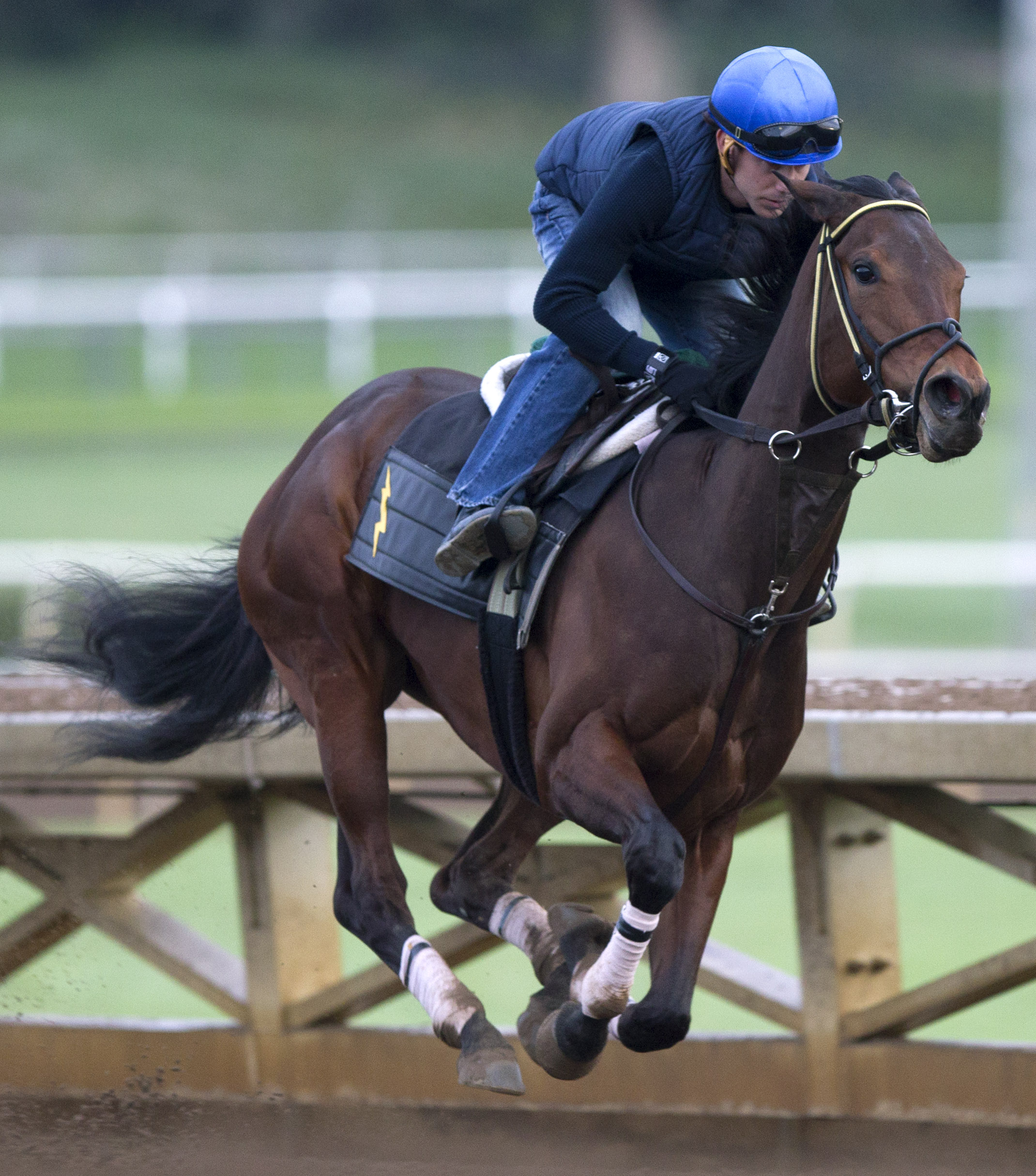 Her Emmynency trains at Santa Anita in March 2016