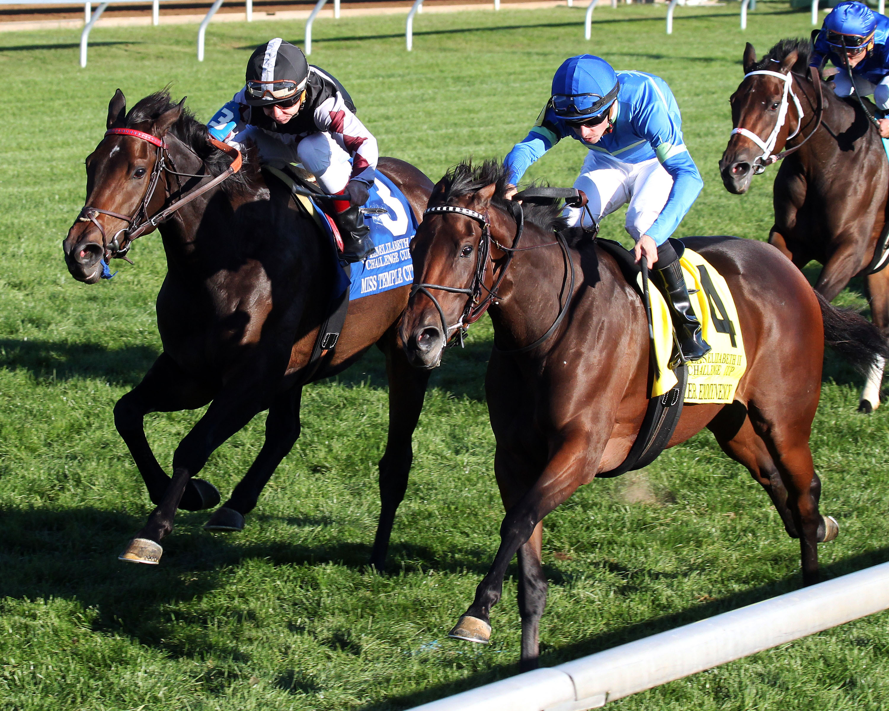 Her Emmynency wins the Queen Elizabeth II Challenge Cup