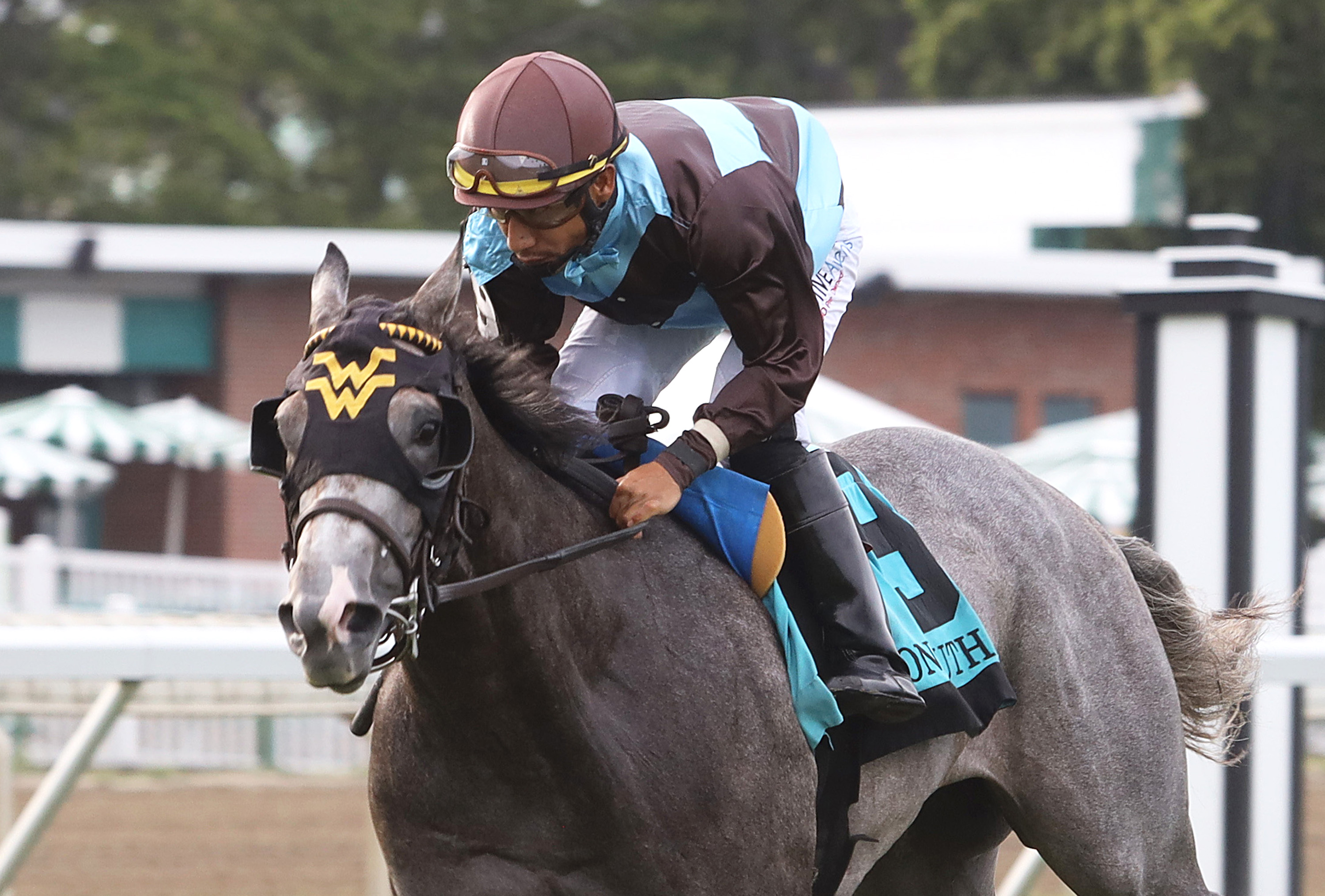 Her World, Tyro