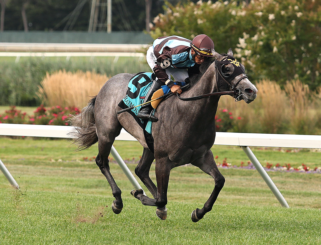 Her World wins the 2021 Tyro Stakes at Monmouth Park