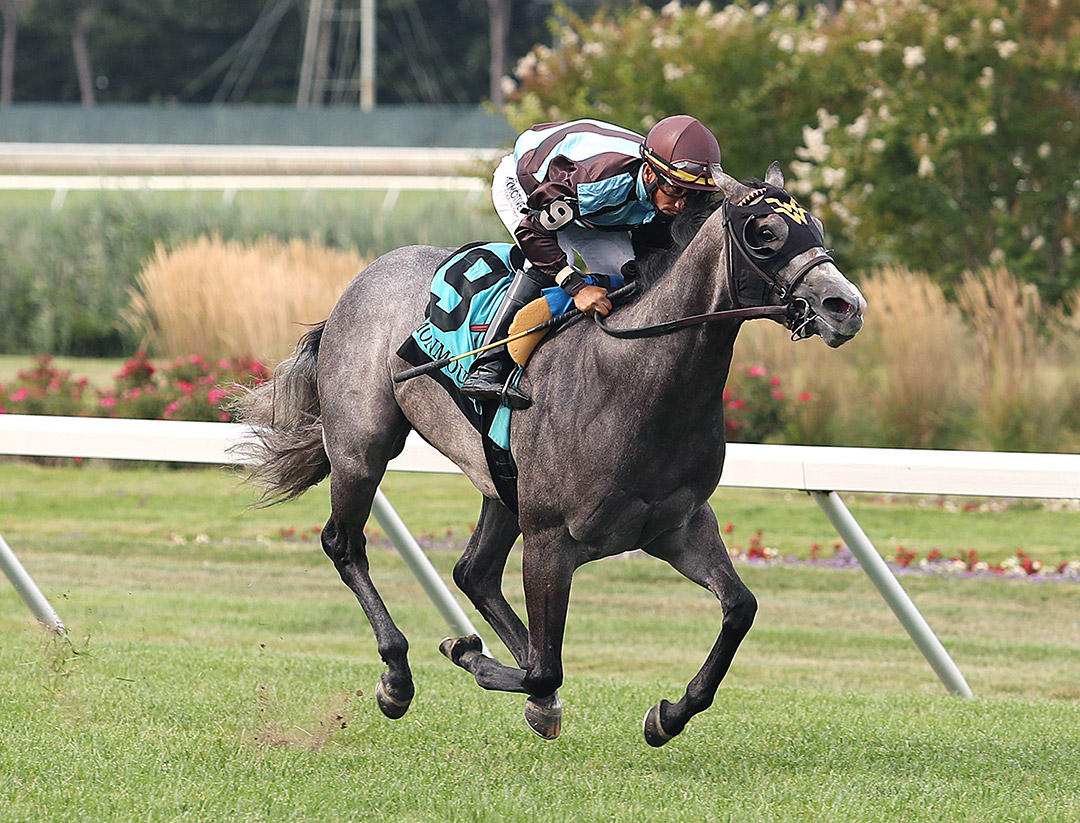 Her World wins the 2021 Tyro Stakes at Monmouth Park