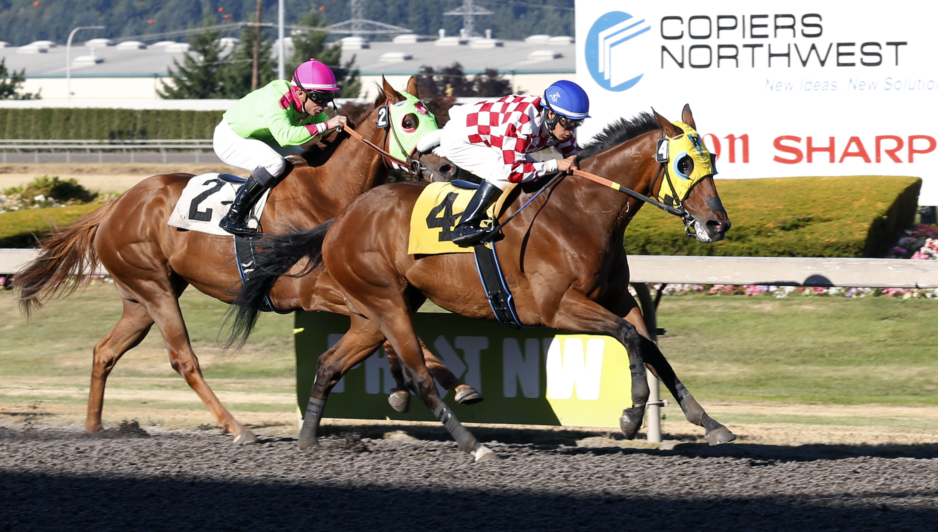 Herbie D wins an allowance race