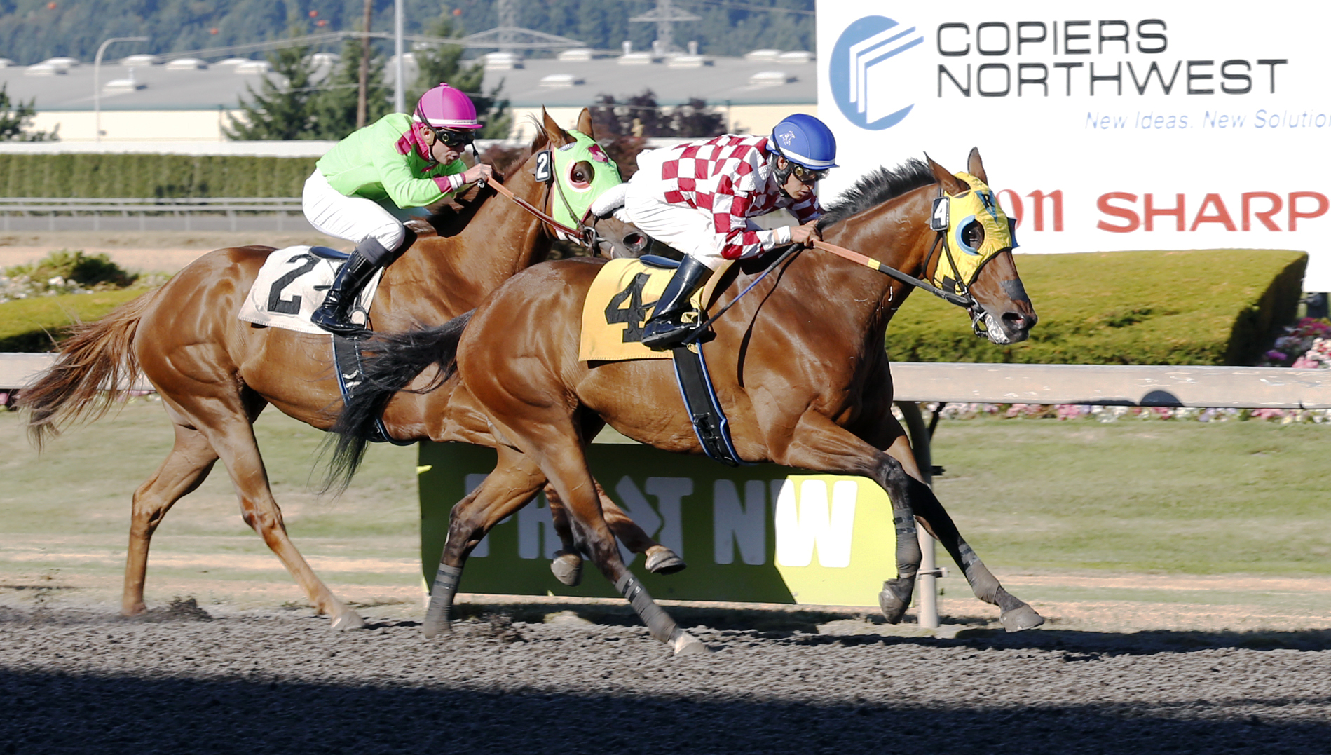 Herbie D wins an allowance race