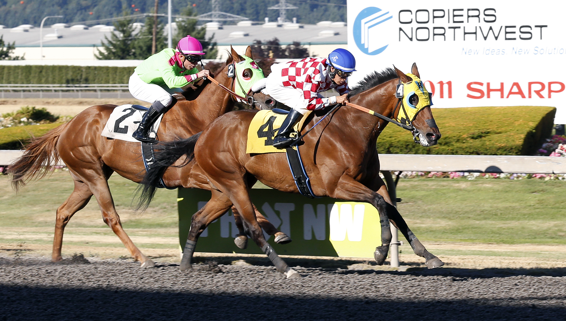 Herbie D wins a July 4, 2015 allowance race